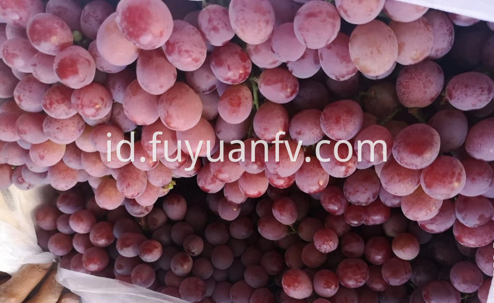 fresh red grape